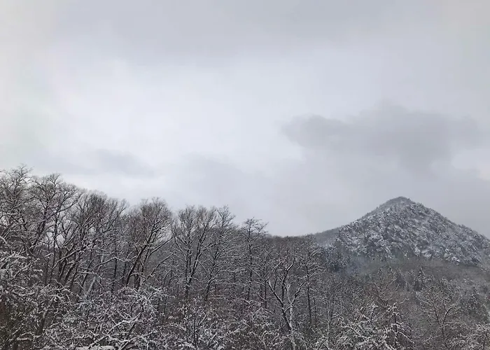 Planinski Biser 别墅